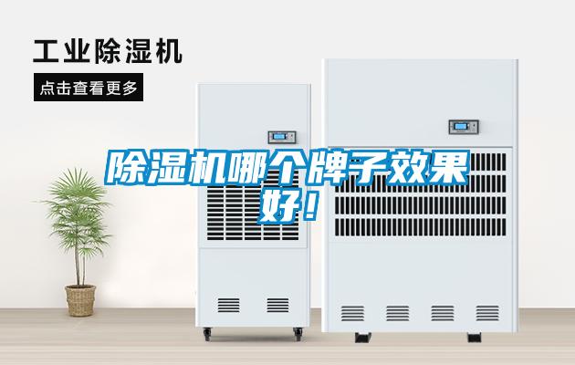 除濕機哪個牌子效果好！