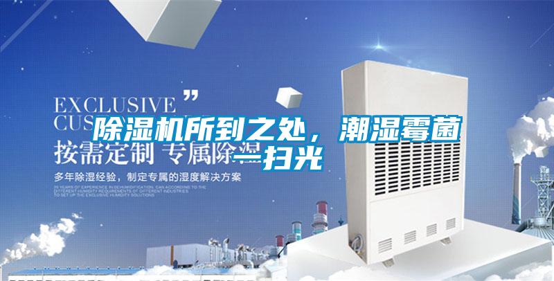 除濕機所到之處，潮濕霉菌一掃光