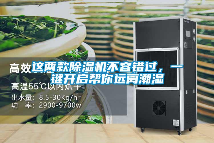 這兩款除濕機不容錯過，一鍵開啟幫你遠離潮濕