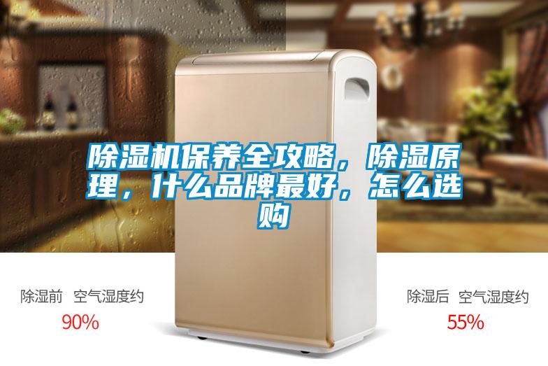 除濕機(jī)保養(yǎng)全攻略，除濕原理，什么品牌最好，怎么選購(gòu)