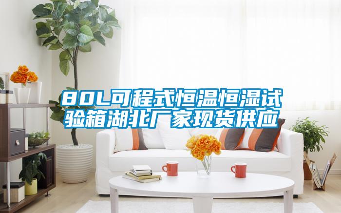 80L可程式恒溫恒濕試驗箱湖北廠家現(xiàn)貨供應