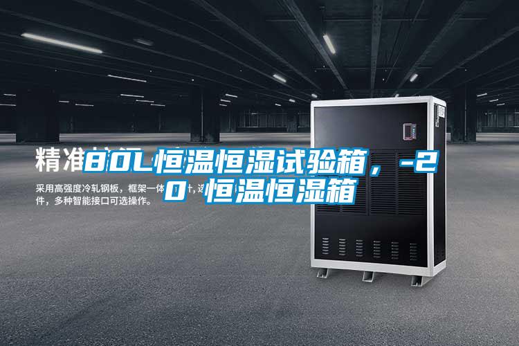 80L恒溫恒濕試驗(yàn)箱，-20℃恒溫恒濕箱