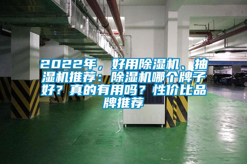 2022年，好用除濕機、抽濕機推薦：除濕機哪個牌子好？真的有用嗎？性價比品牌推薦