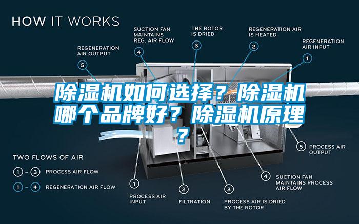 除濕機(jī)如何選擇？除濕機(jī)哪個(gè)品牌好？除濕機(jī)原理？