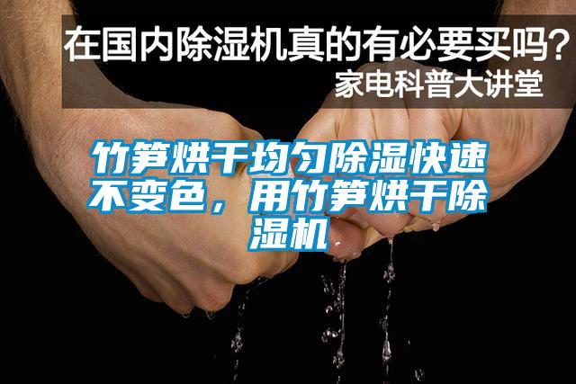 竹筍烘干均勻除濕快速不變色，用竹筍烘干除濕機(jī)
