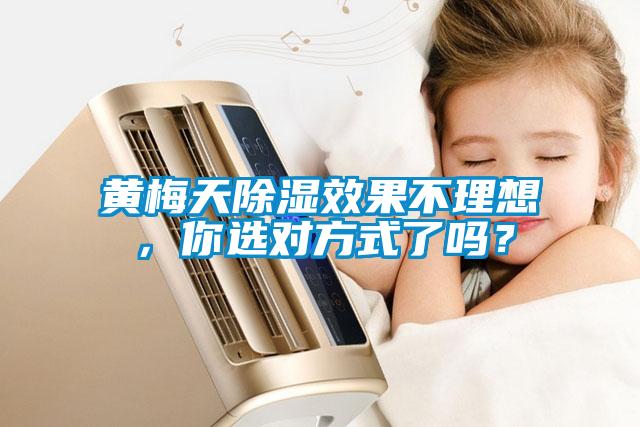 黃梅天除濕效果不理想，你選對方式了嗎？