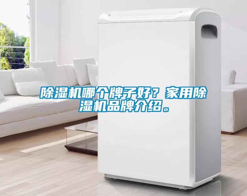 除濕機(jī)哪個(gè)牌子好？家用除濕機(jī)品牌介紹。