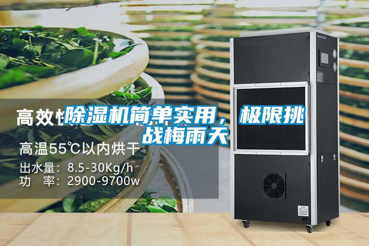 除濕機(jī)簡單實用，極限挑戰(zhàn)梅雨天