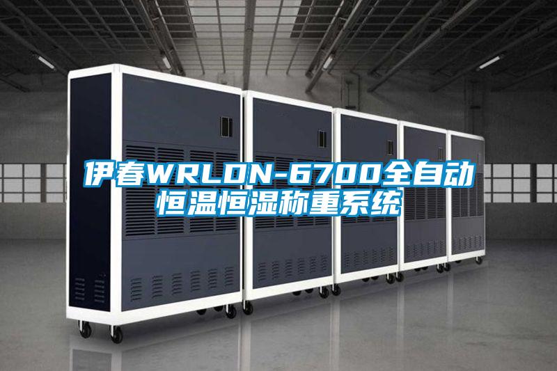 伊春WRLDN-6700全自動(dòng)恒溫恒濕稱(chēng)重系統(tǒng)