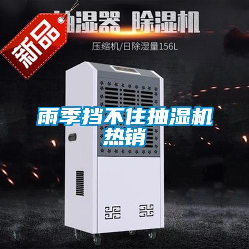 雨季擋不住抽濕機(jī)熱銷(xiāo)