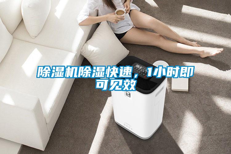 除濕機除濕快速，1小時即可見效