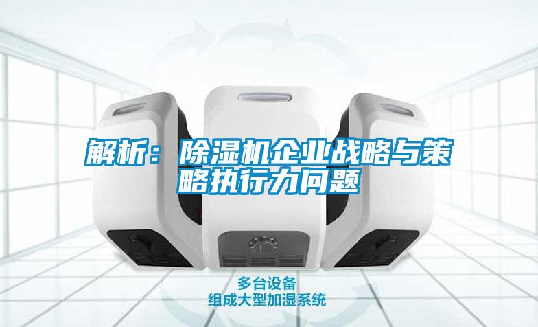 解析：除濕機(jī)企業(yè)戰(zhàn)略與策略執(zhí)行力問題