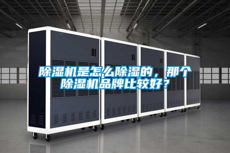除濕機(jī)是怎么除濕的，那個(gè)除濕機(jī)品牌比較好？