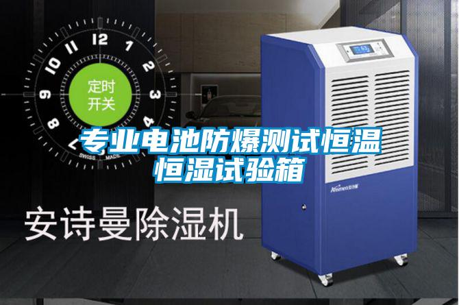 專業(yè)電池防爆測試恒溫恒濕試驗(yàn)箱