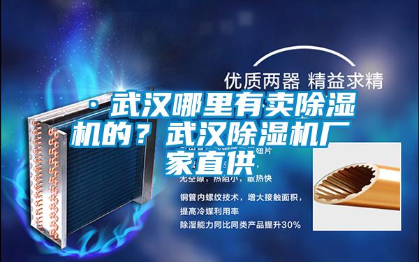 ·武漢哪里有賣除濕機的？武漢除濕機廠家直供