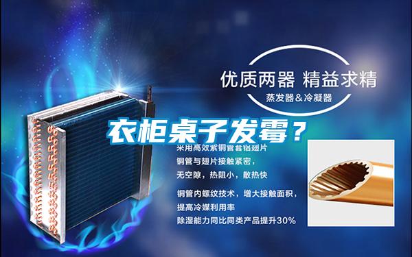 衣柜桌子發(fā)霉？