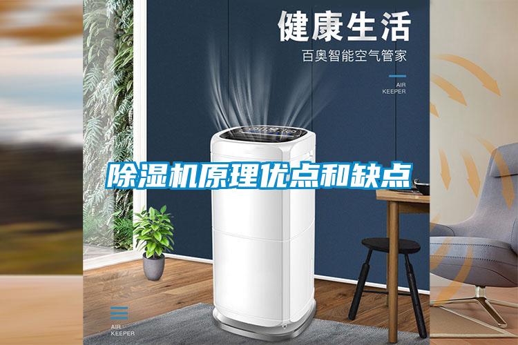 除濕機(jī)原理優(yōu)點(diǎn)和缺點(diǎn)