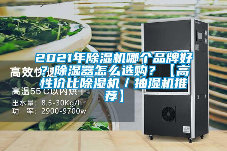 2021年除濕機(jī)哪個品牌好？除濕器怎么選購？【高性價比除濕機(jī)／抽濕機(jī)推薦】