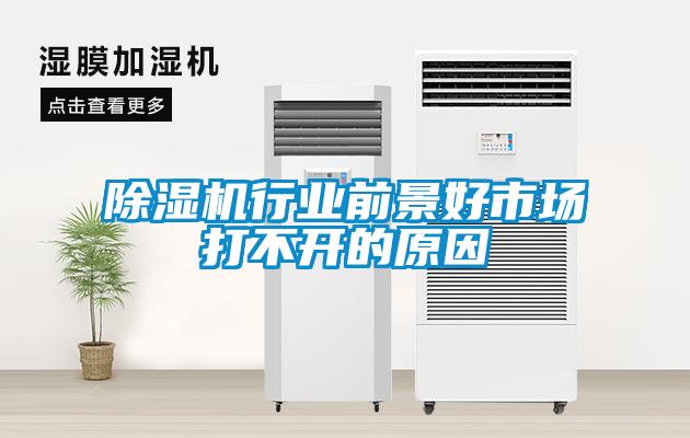 除濕機(jī)行業(yè)前景好市場(chǎng)打不開(kāi)的原因