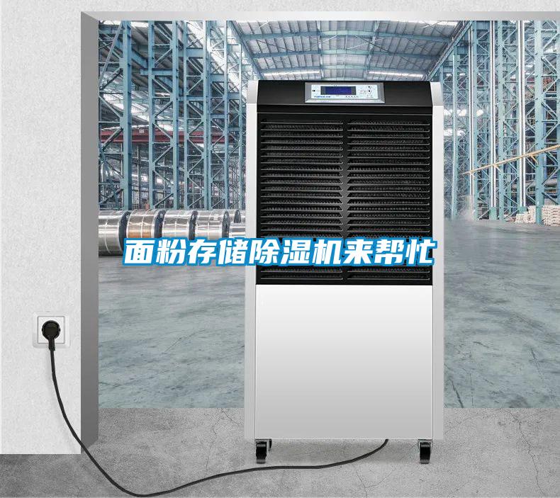 面粉存儲(chǔ)除濕機(jī)來幫忙