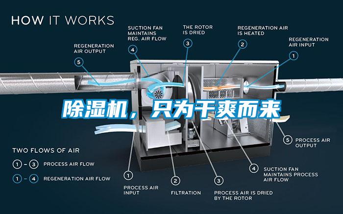 除濕機(jī)，只為干爽而來