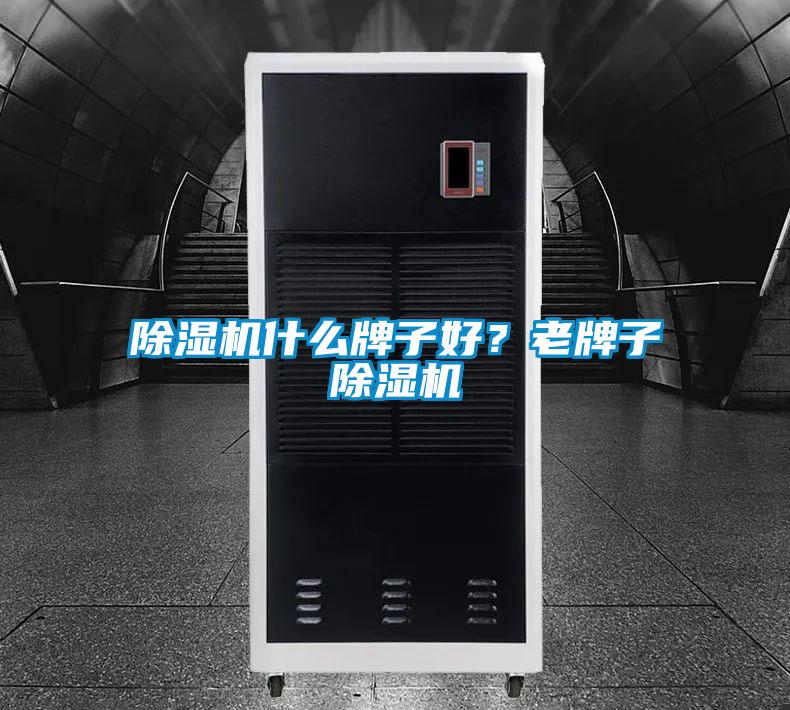 除濕機什么牌子好？老牌子除濕機