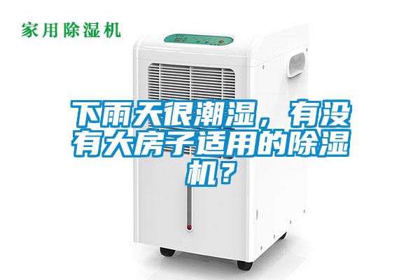 下雨天很潮濕，有沒(méi)有大房子適用的除濕機(jī)？