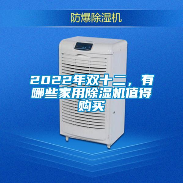 2022年雙十二，有哪些家用除濕機(jī)值得購(gòu)買