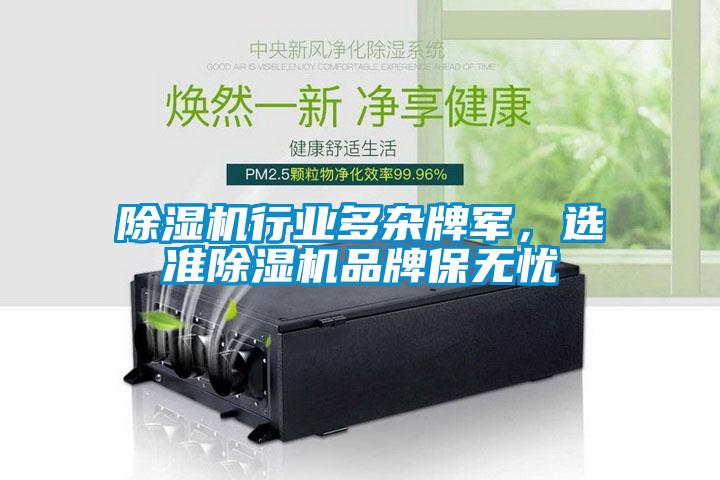 除濕機(jī)行業(yè)多雜牌軍，選準(zhǔn)除濕機(jī)品牌保無憂