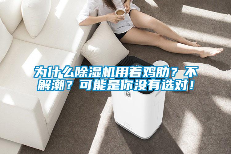 為什么除濕機用著雞肋？不解潮？可能是你沒有選對！