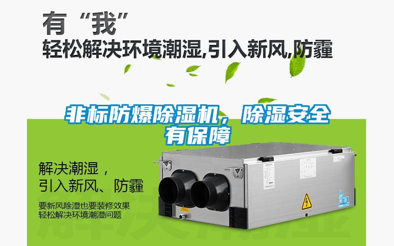 非標(biāo)防爆除濕機(jī)，除濕安全有保障