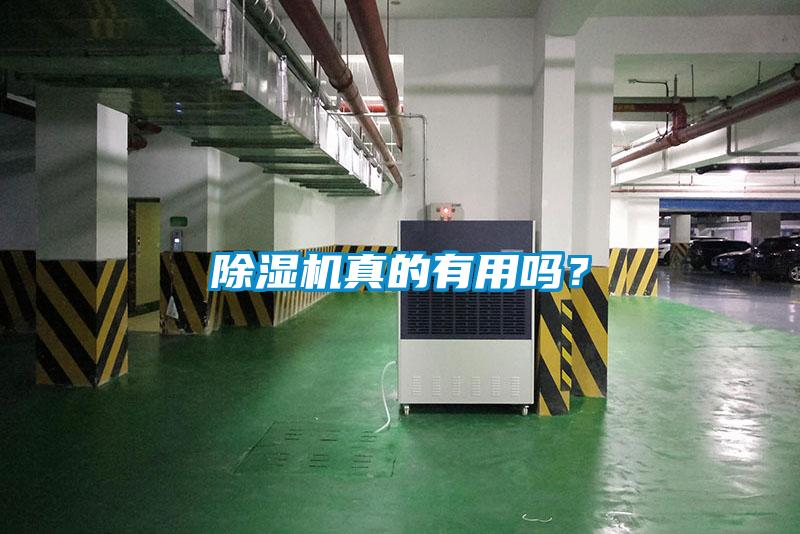 除濕機(jī)真的有用嗎？