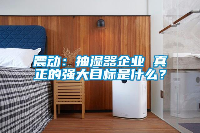 震動：抽濕器企業(yè) 真正的強大目標(biāo)是什么？