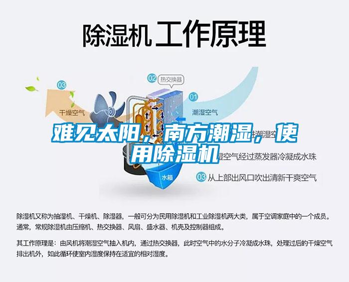 難見(jiàn)太陽(yáng)，南方潮濕，使用除濕機(jī)