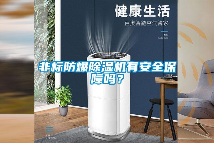 非標(biāo)防爆除濕機(jī)有安全保障嗎？