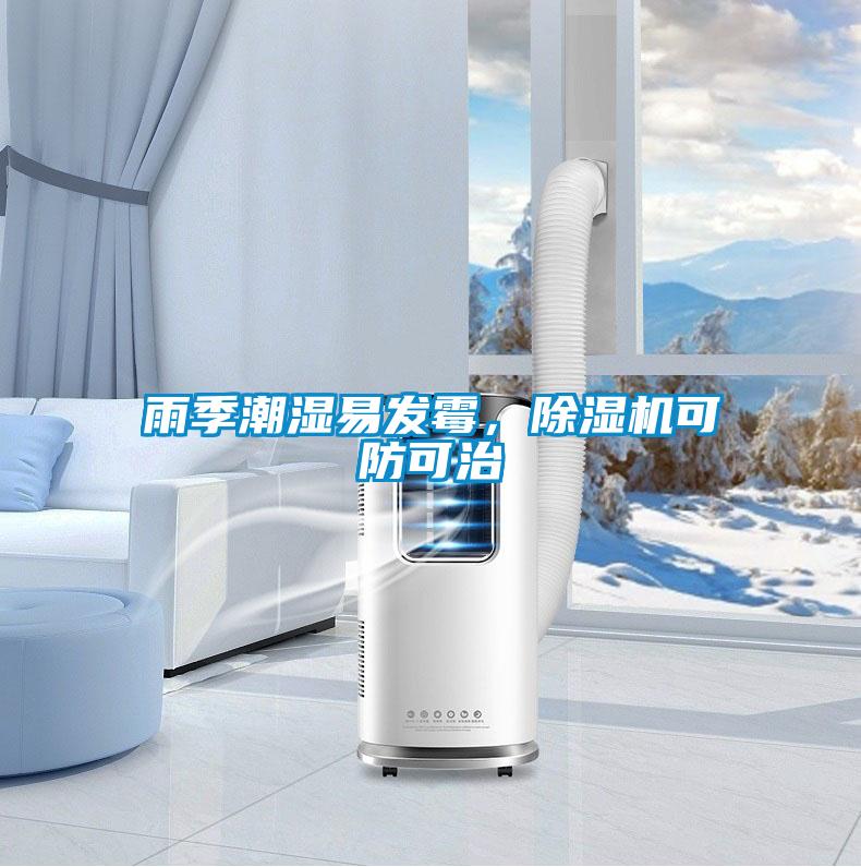 雨季潮濕易發(fā)霉，除濕機可防可治