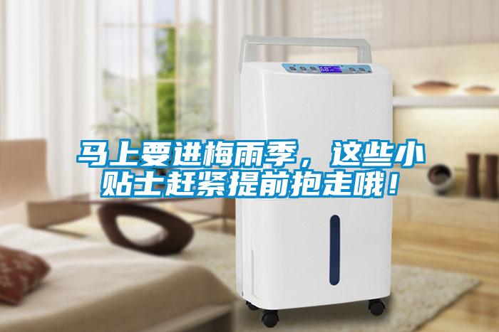 馬上要進梅雨季，這些小貼士趕緊提前抱走哦！