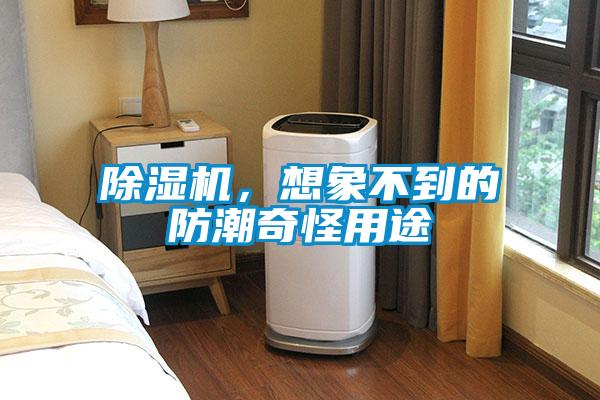 除濕機，想象不到的防潮奇怪用途