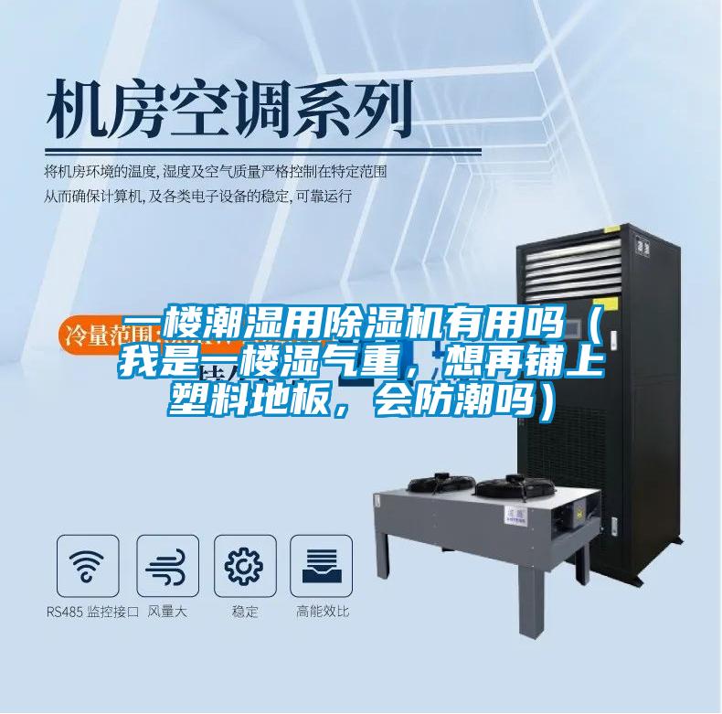 一樓潮濕用除濕機有用嗎（我是一樓濕氣重，想再鋪上塑料地板，會防潮嗎）