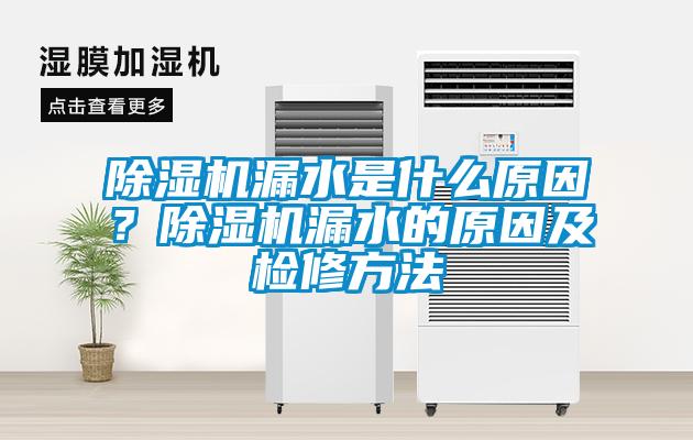 除濕機漏水是什么原因？除濕機漏水的原因及檢修方法