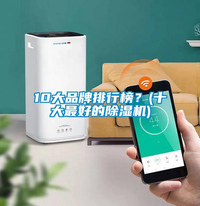 10大品牌排行榜？(十大最好的除濕機(jī))