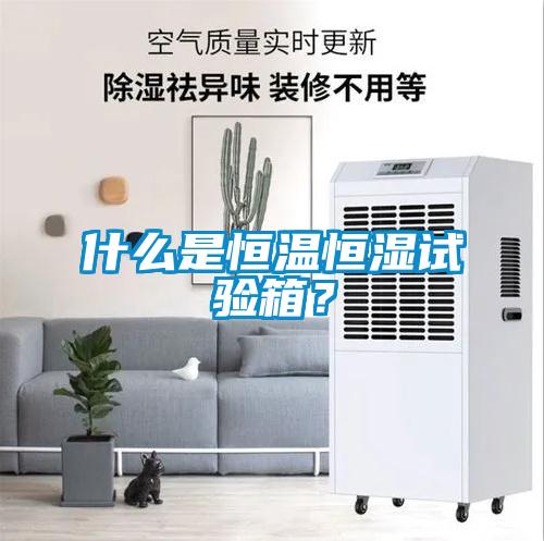 什么是恒溫恒濕試驗(yàn)箱？