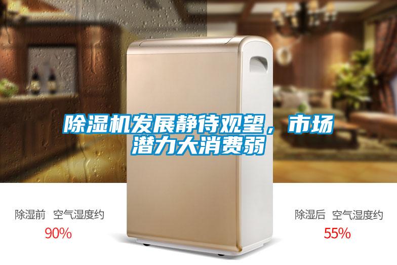 除濕機(jī)發(fā)展靜待觀望，市場潛力大消費(fèi)弱