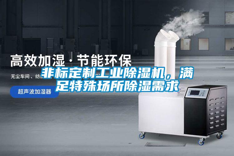 非標(biāo)定制工業(yè)除濕機(jī)，滿足特殊場(chǎng)所除濕需求