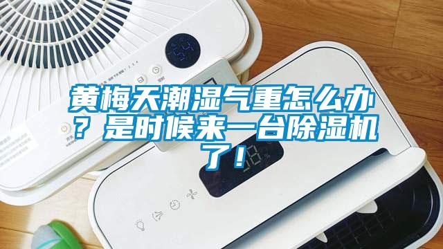 黃梅天潮濕氣重怎么辦？是時候來一臺除濕機(jī)了！