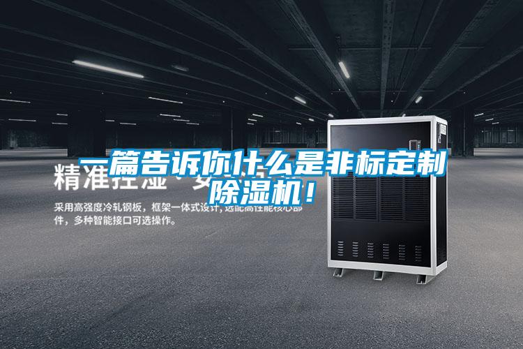 一篇告訴你什么是非標定制除濕機！
