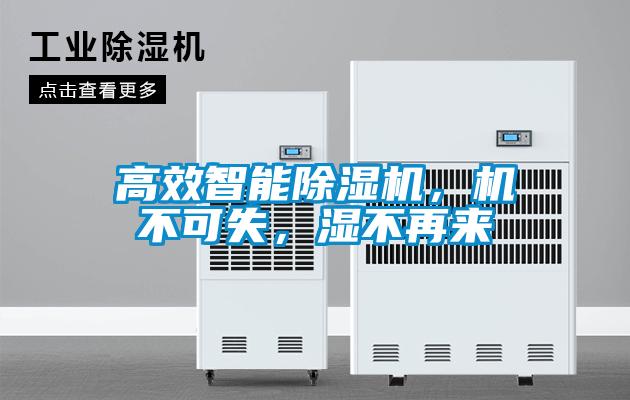 高效智能除濕機(jī)，機(jī)不可失，濕不再來