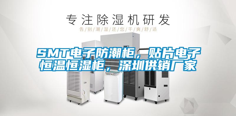 SMT電子防潮柜，貼片電子恒溫恒濕柜，深圳供銷廠家