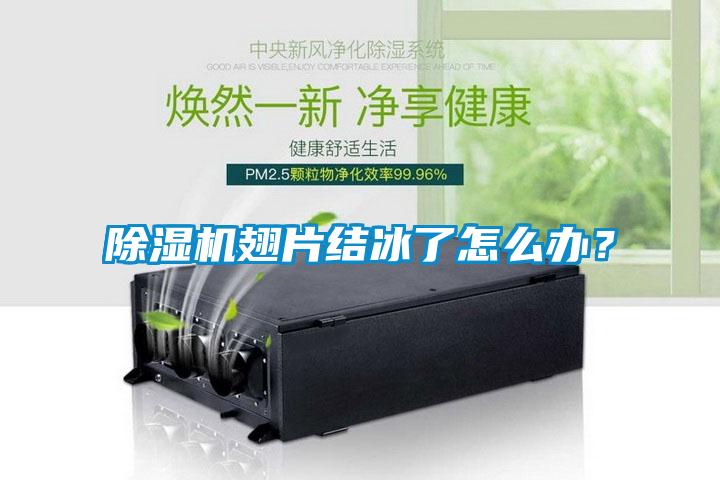 除濕機(jī)翅片結(jié)冰了怎么辦？