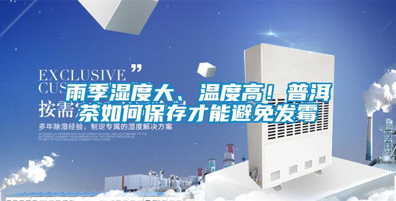雨季濕度大、溫度高！普洱茶如何保存才能避免發(fā)霉